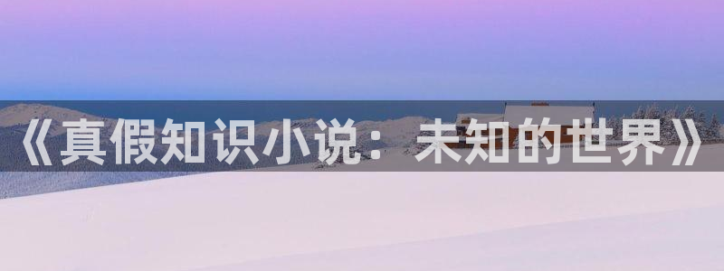 免费午夜小说