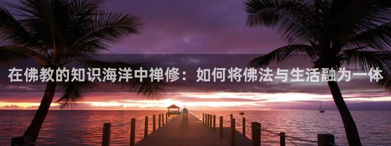欧美午夜小说：在佛教的知识海洋中禅修：如何将佛法与生活融为一体